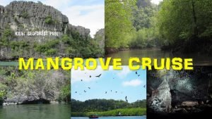 Langkawi-Mangrove-Cruise