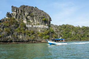 Langkawi mangrove tour