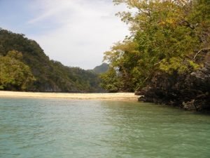 langkawi mangrove tour