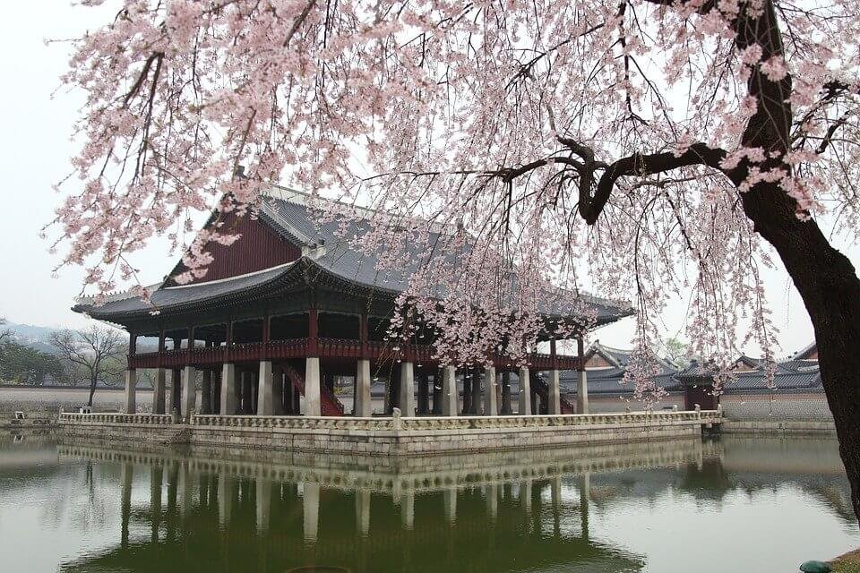 Seoul Tour Packages Thumbnail