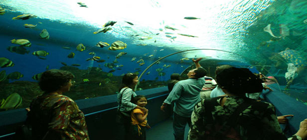 under-water-world-langkawi